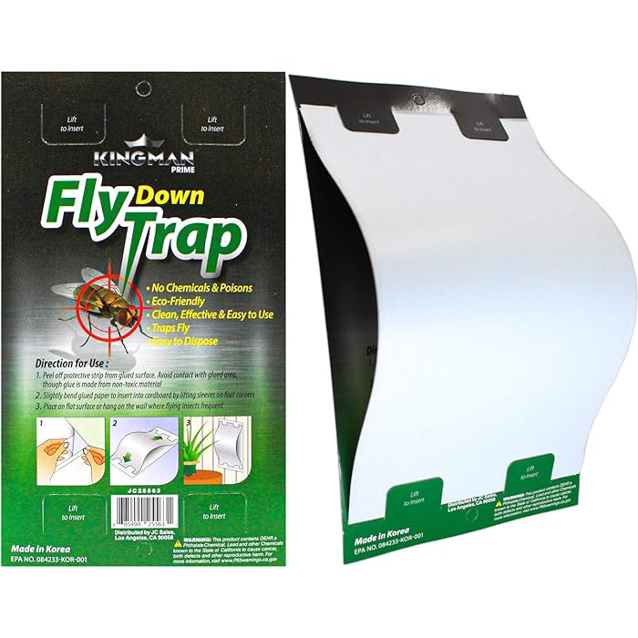 Fly & Insect Down Trap