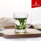 6 PC 7.6 oz Clear Tea Glass with Handle